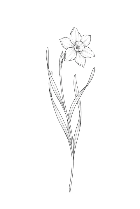 Narcissus fine line birth flower tattoo design for December