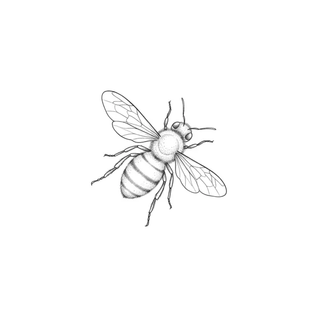Fine line tattoo design: a little bee
